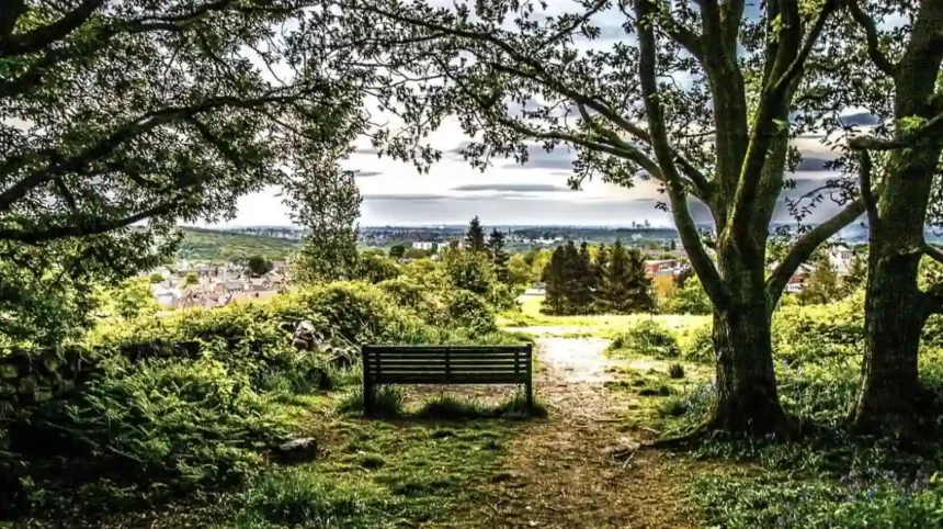 Horsforth Nature Walks and Green Spaces to Explore Horsforth, Leeds 2026