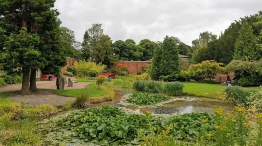 Horsforth Relaxed Afternoon Cafés, Parks & Activities Leeds 2026
