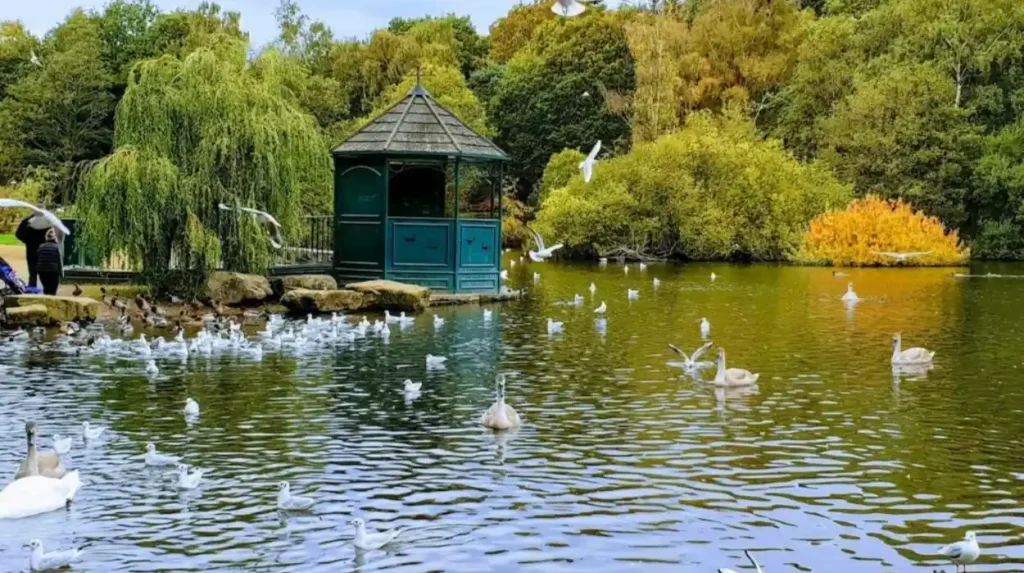 How can you plan a peaceful full day in Horsforth?