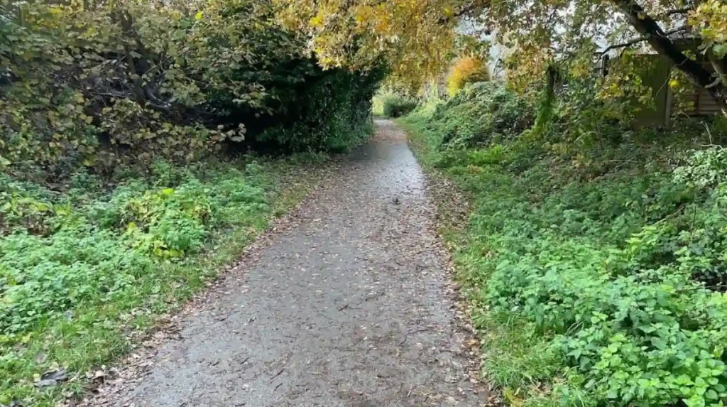 How does the Lines Way function as an ecological corridor and walking route