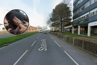 Man Arrested Following Reported Theft and Assault in Cross Gates 2026