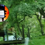 UK Government Issues Emergency Wildfire Alert and BBQ Ban: Knowsley 2026