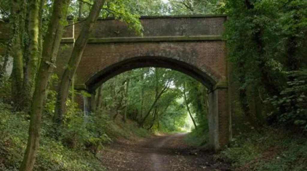 What is the Linesway and why is it useful for photography