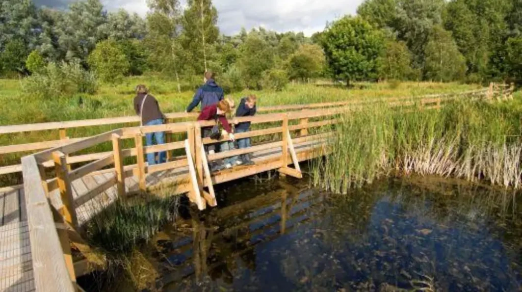 What makes Garforth suitable for a family day out