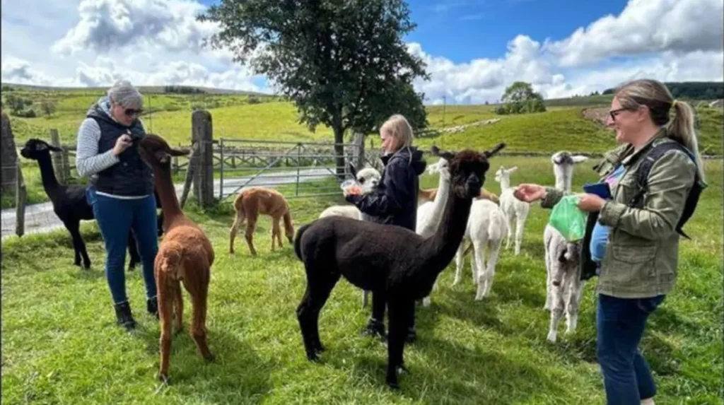Where can families experience interactive farm activities in Horsforth