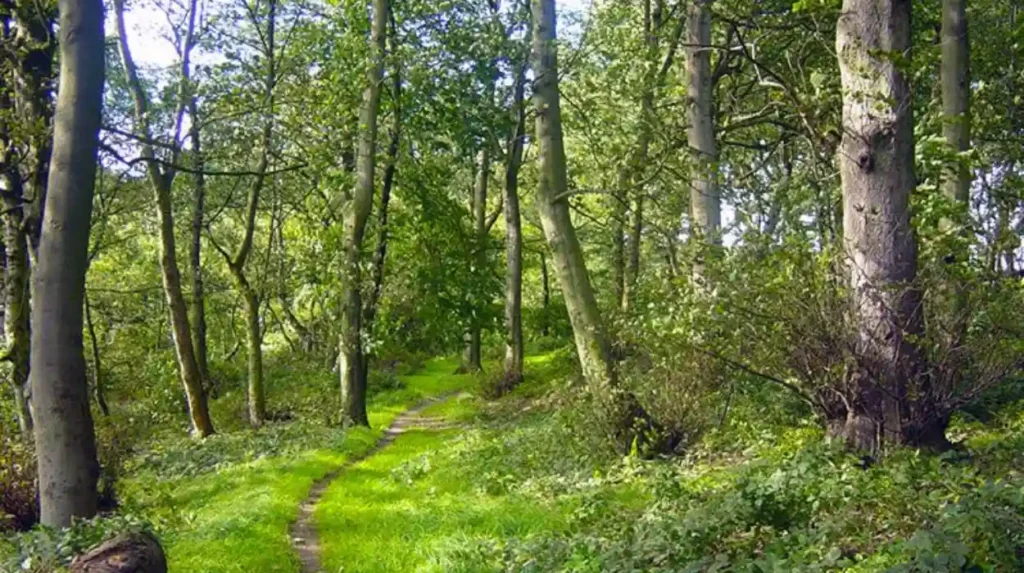 Where can visitors find accessible park walks in Horsforth