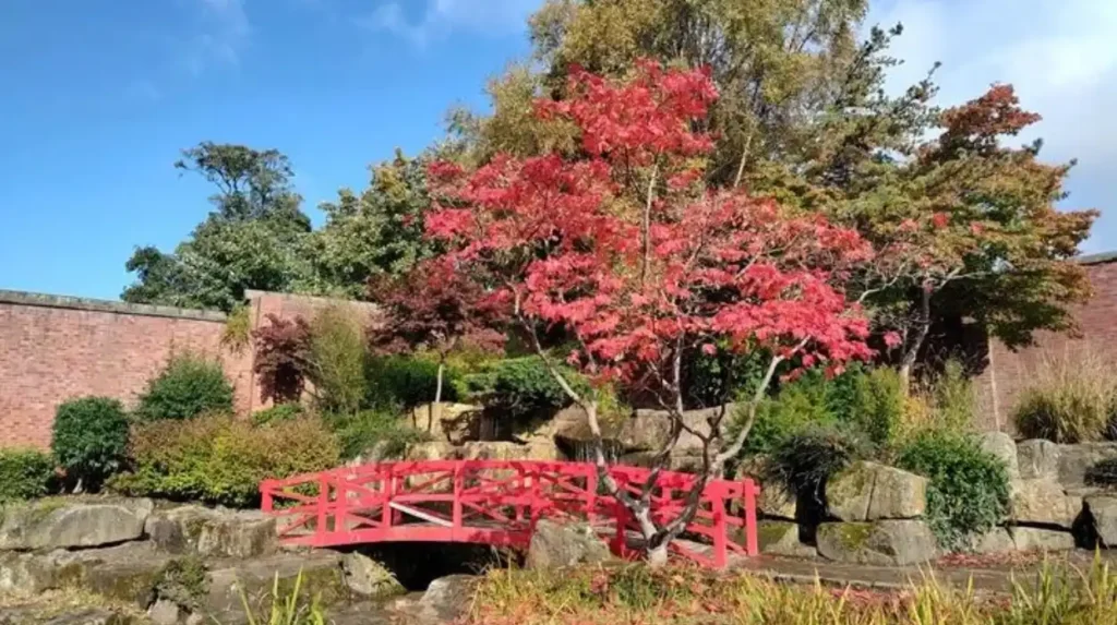 Which are the best photography spots in Horsforth