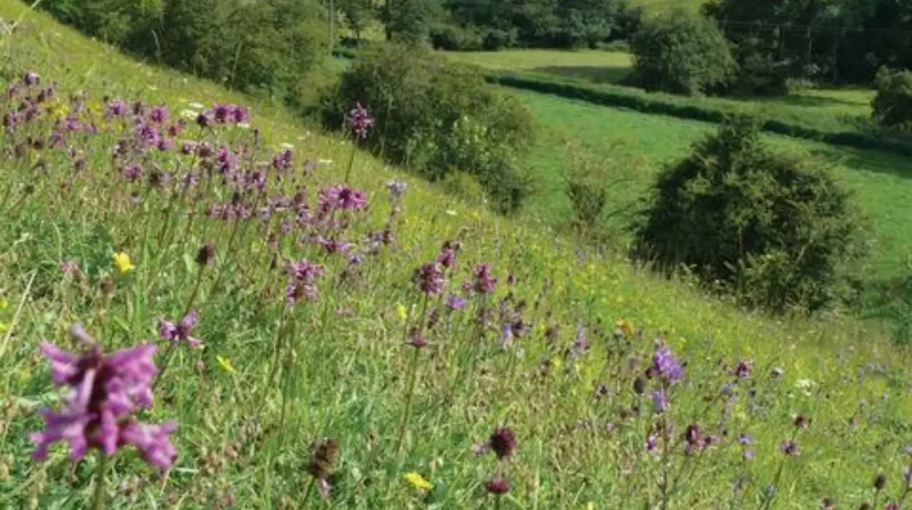 Which green spaces in Garforth are best for peaceful outdoor time