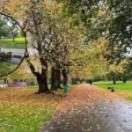 Armley Park Tree Felling and Safety Works Leeds 2026