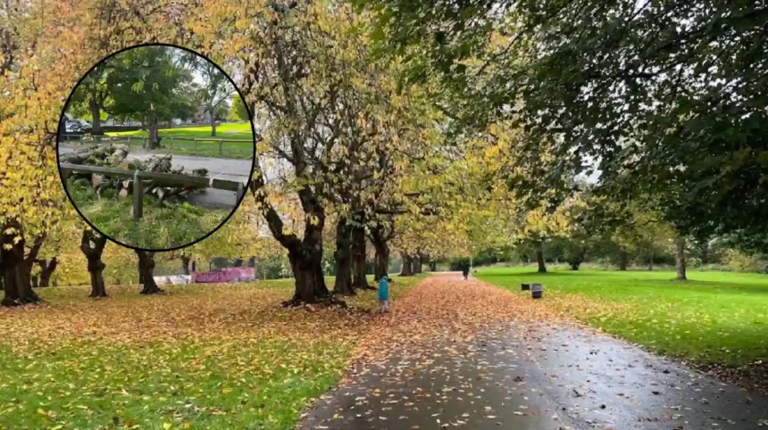 Armley Park Tree Felling and Safety Works Leeds 2026