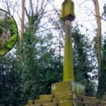 Fire-Damaged Church Auction in Morley 2026