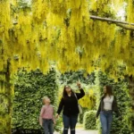Garforth Spring Outdoors_ Best Walks & Nature Spots