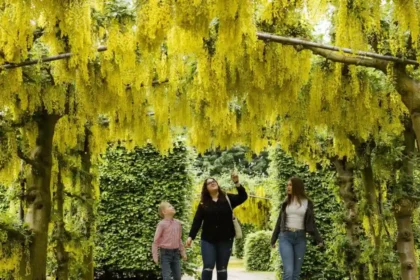 Garforth Spring Outdoors_ Best Walks & Nature Spots