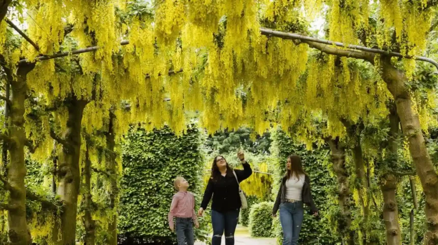 Garforth Spring Outdoors_ Best Walks & Nature Spots