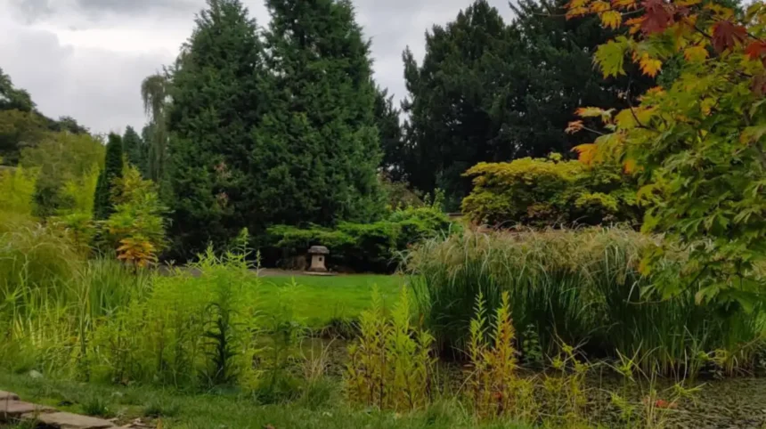Horsforth After Work_ Evening Guide to Leeds