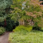 Horsforth Autumn Places to Explore in Leeds