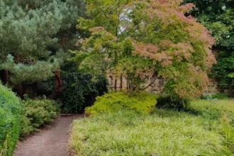 Horsforth Autumn Places to Explore in Leeds