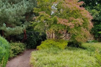 Horsforth Autumn Places to Explore in Leeds