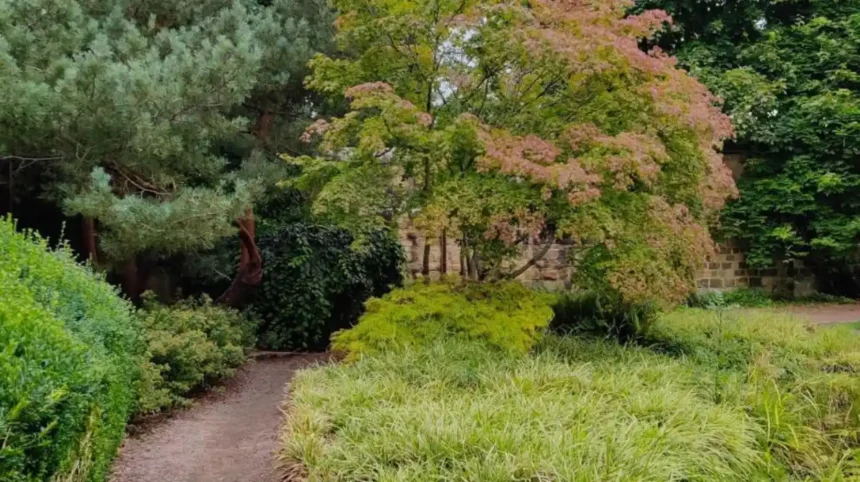 Horsforth Autumn Places to Explore in Leeds