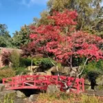 Horsforth Best Places for a Casual Afternoon With Friends