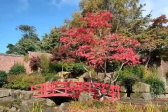 Horsforth Best Places for a Casual Afternoon With Friends