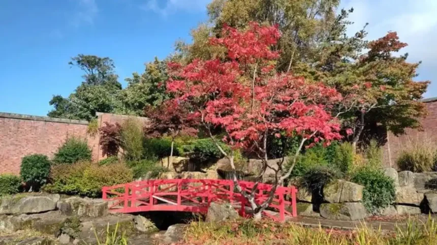 Horsforth Best Places for a Casual Afternoon With Friends