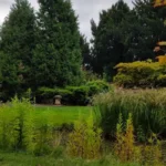 Horsforth Guide Local Places Worth Revisiting in Leeds