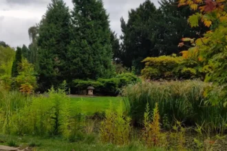 Horsforth Guide Local Places Worth Revisiting in Leeds