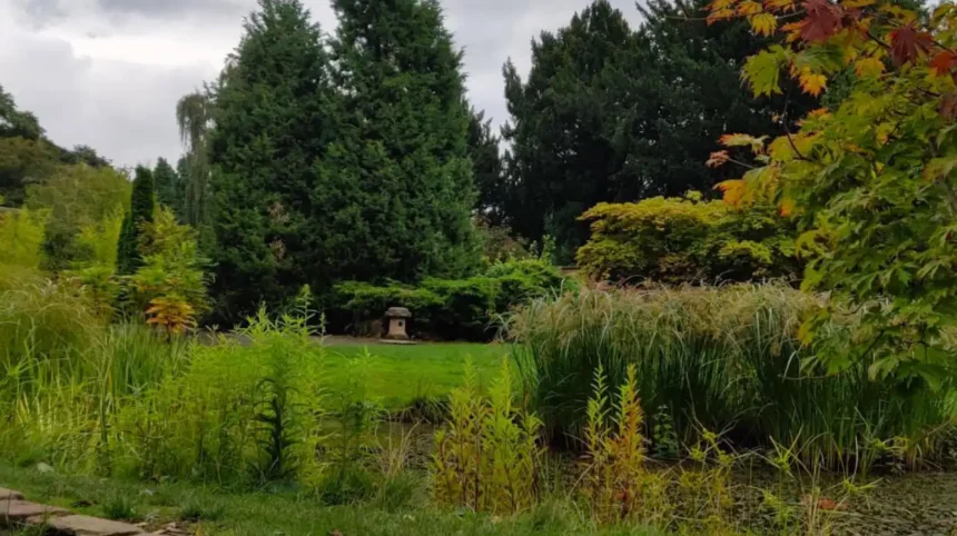 Horsforth Guide Local Places Worth Revisiting in Leeds