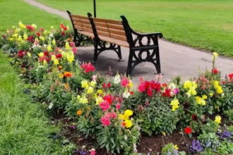 Horsforth Places for a Relaxed Bank Holiday in Leeds