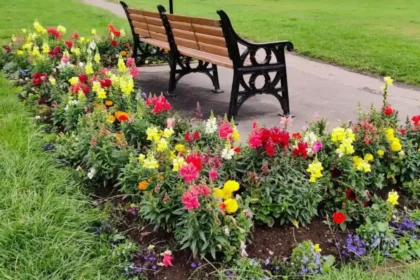 Horsforth Spring Outdoors_ Parks, Walks and Green Spaces