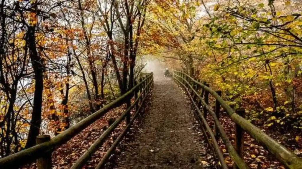 Is Golden Acre Park worth visiting from Horsforth
