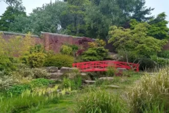 Peaceful Morning Outdoors in Horsforth, Leeds 2026