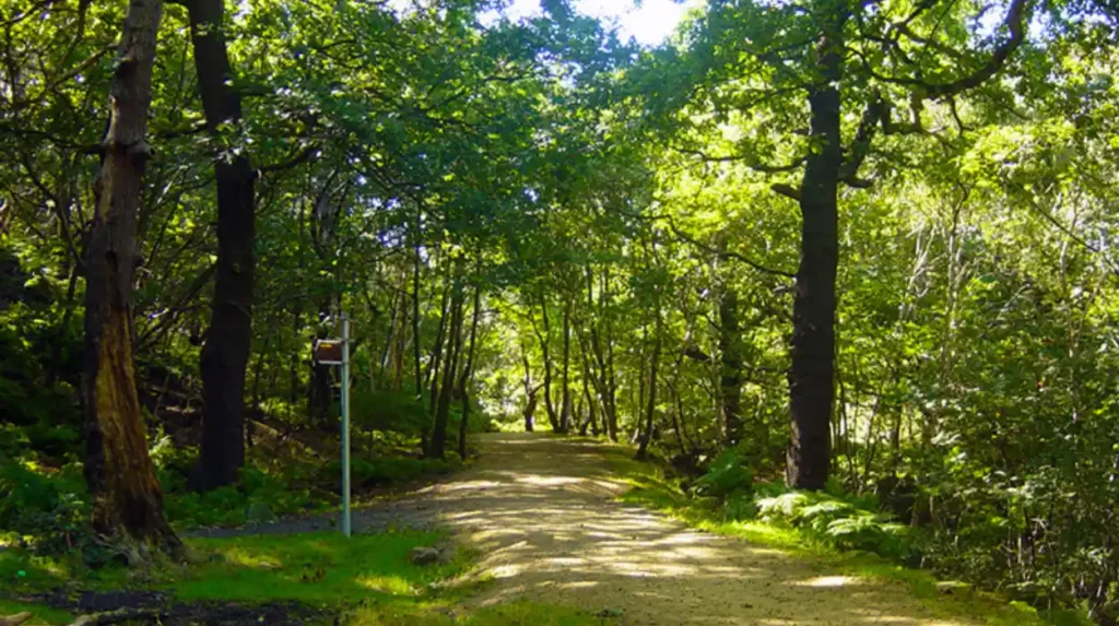 What are the main green corridors around Horsforth