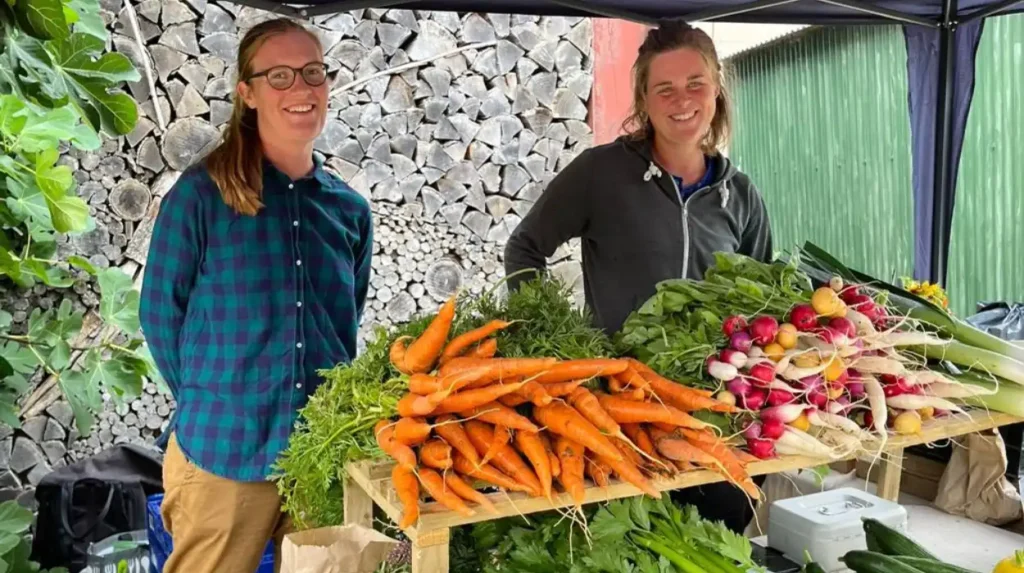 What can visitors find at Horsforth Farmers Market