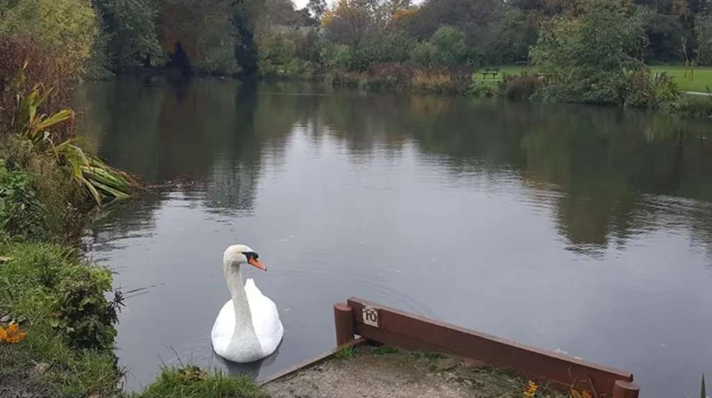 What makes Garforth a good place to explore on a clear summer day