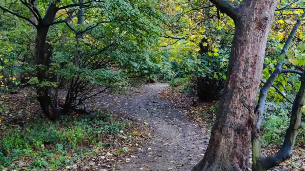What makes Horsforth suitable for an autumn afternoon 1