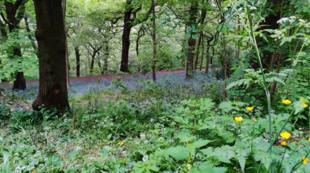 Where can beginners practise nature photography in Garforth