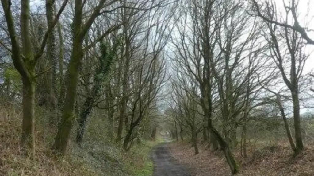 Where can visitors have a quiet conversation outdoors in Garforth