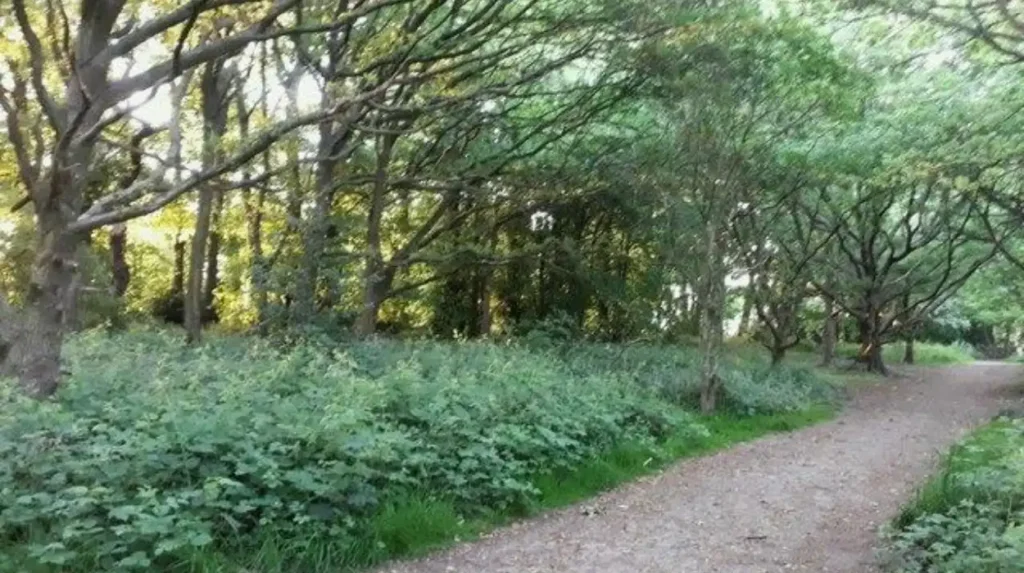 Where can you walk around Horsforth for longer morning views