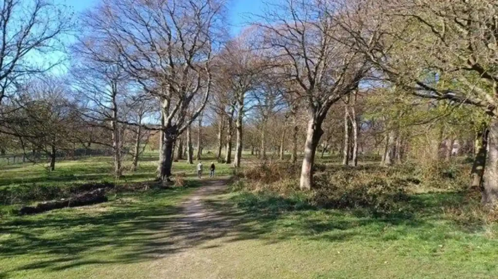 Are There Parks and Green Spaces Near Headingley Stadium