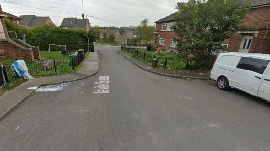 Dog Rescued by Firefighters After House Fire in Osmondthorpe, Leeds 2026