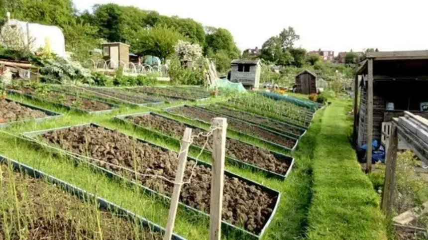 Headingley Gardening Groups and Allotment Opportunities Guide