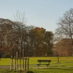 Headingley Mental Wellbeing Activities and Support