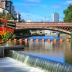 How 9 Leeds Garden Centre Cafes Were Rated For Hygiene Leeds 2026
