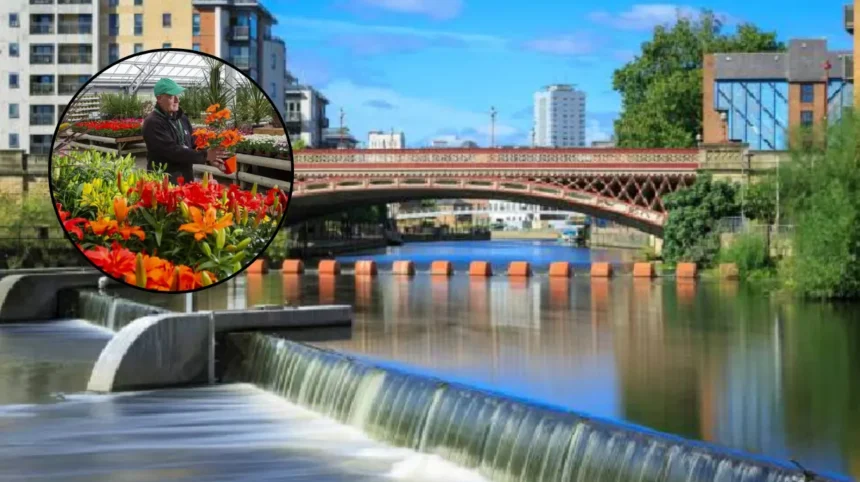 How 9 Leeds Garden Centre Cafes Were Rated For Hygiene Leeds 2026