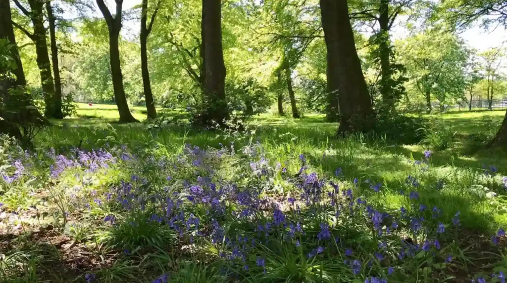 How do Headingleys parks and green spaces support mental wellbeing