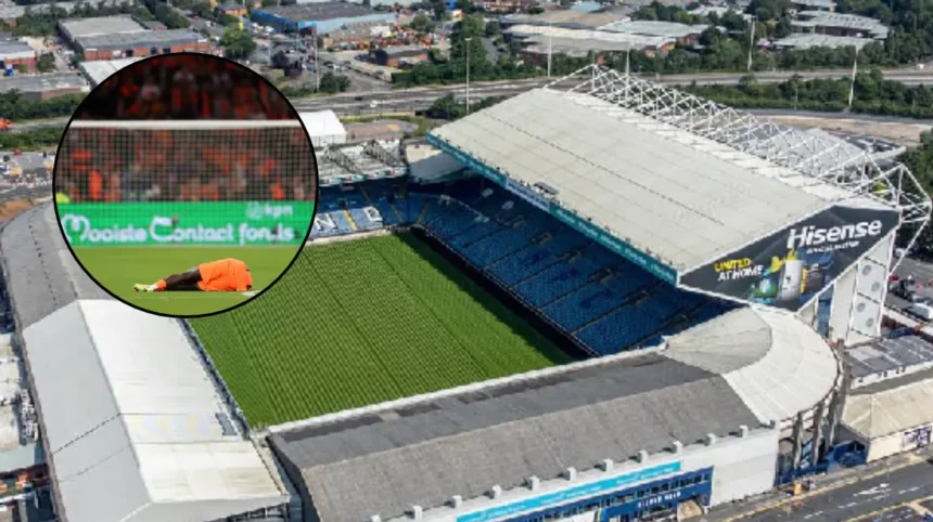 Sunderland Handed Brian Brobbey Boost Before Leeds United Clash Wearside 2026