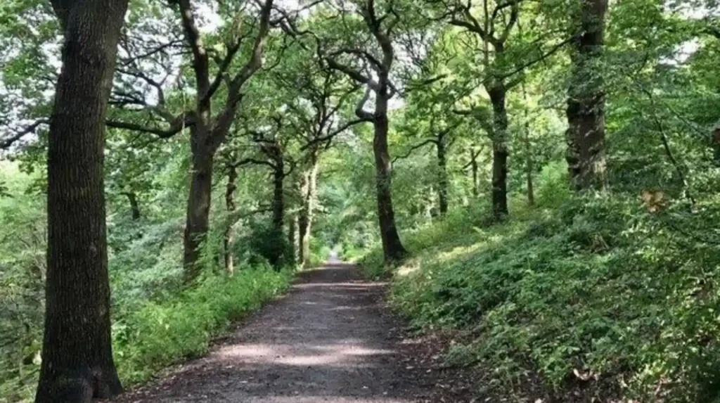 Which Nature Conservation Groups Operate in Headingley