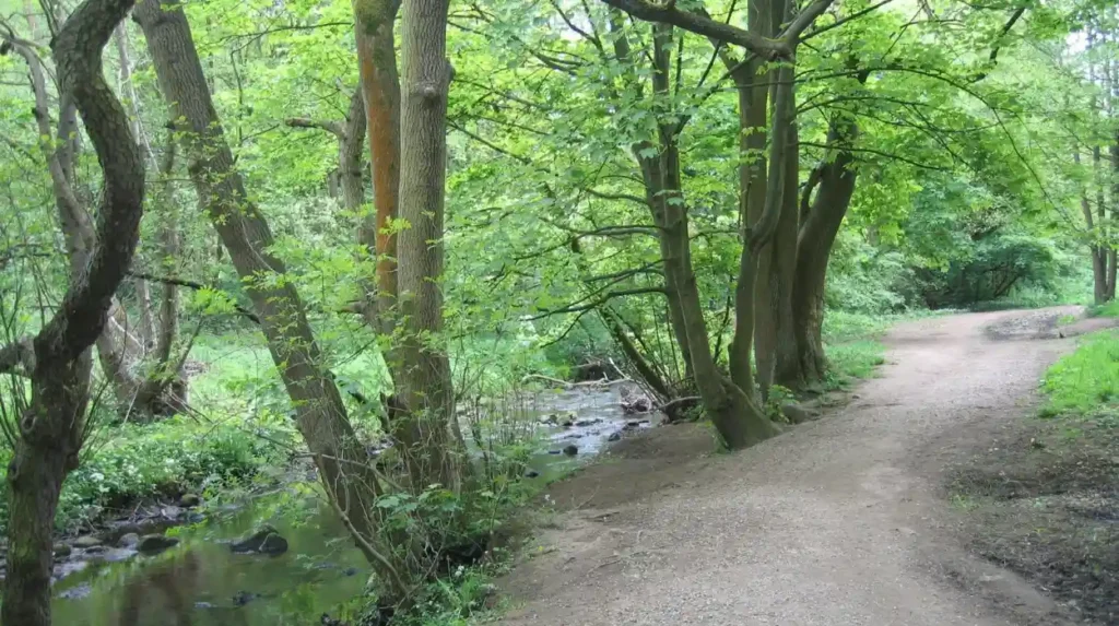 Which parks and outdoor spaces near Headingley support quiet revision breaks
